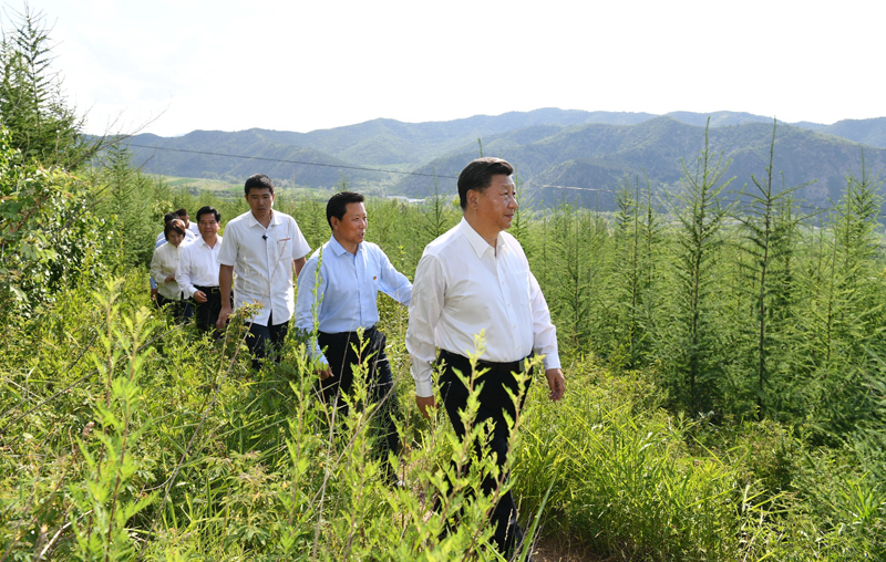 7月15日至16日，中共中央總書(shū)記、國家主席、中央軍委主席習近平在內蒙古考察并指導開(kāi)展“不忘初心、牢記使命”主題教育。這是15日下午，習近平在赤峰市喀喇沁旗馬鞍山林場(chǎng)林區，沿著(zhù)崎嶇的護林小道察看林木長(cháng)勢。